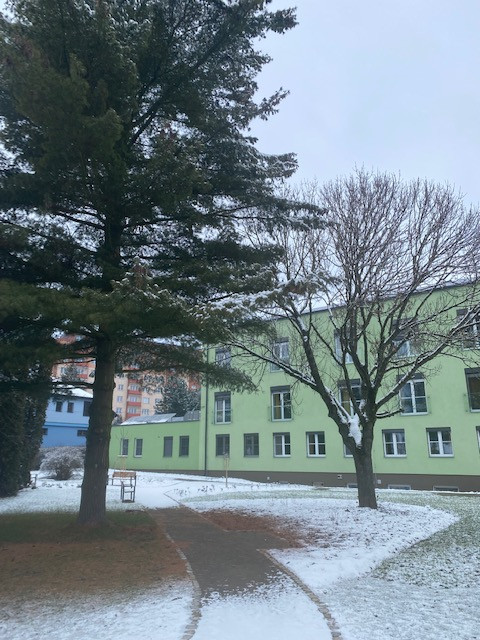 Domov